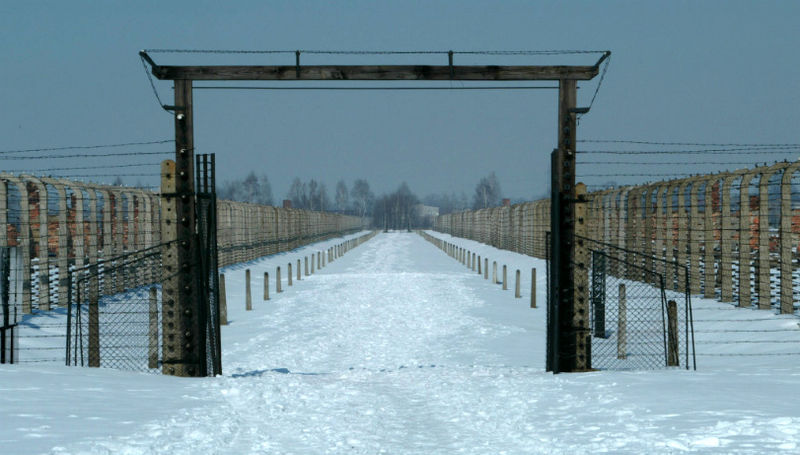 Birkenau Walk of Death